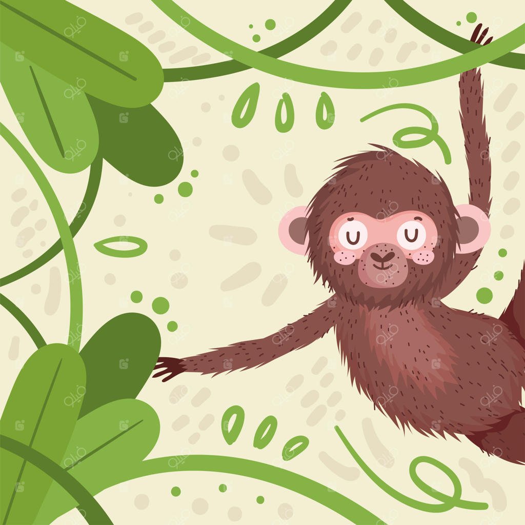 میمون: حیوان جنگل