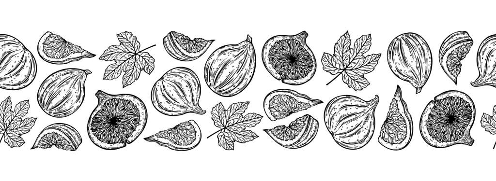 مرز یکپارچه انجیر وکتور. میوه‌های شیرین باغ: کامل، نصفه، و برش‌خورده. طرحی از توت تازه با برگ‌ها. طرح خطی تک‌رنگ از گیاه خاص. هنر خطی گیاه‌شناسی دست‌کشیده. غذای طبیعی و سالم.