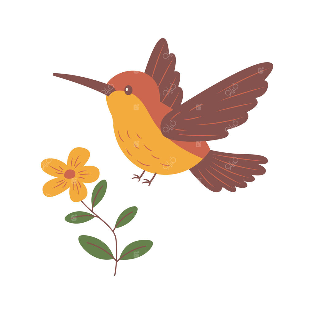 پرواز مرغ مگس‌خوار زیبا در باغ همراه با گل‌ها