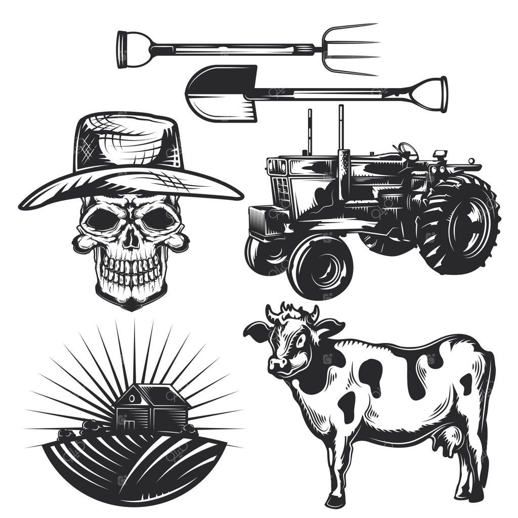مجموعه‌ای از عناصر کشاورزی برای طراحی نشان‌ها، لوگوها، برچسب‌ها و پوسترهای خود