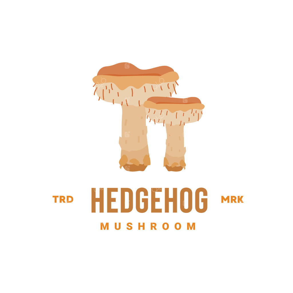 نقاشی لوگوی قارچ جوجه‌تیغی مناسب برای سبزی‌فروشی‌ها و باغ‌ها، هم برای پوسترها و هم برای آیکون‌های وب.