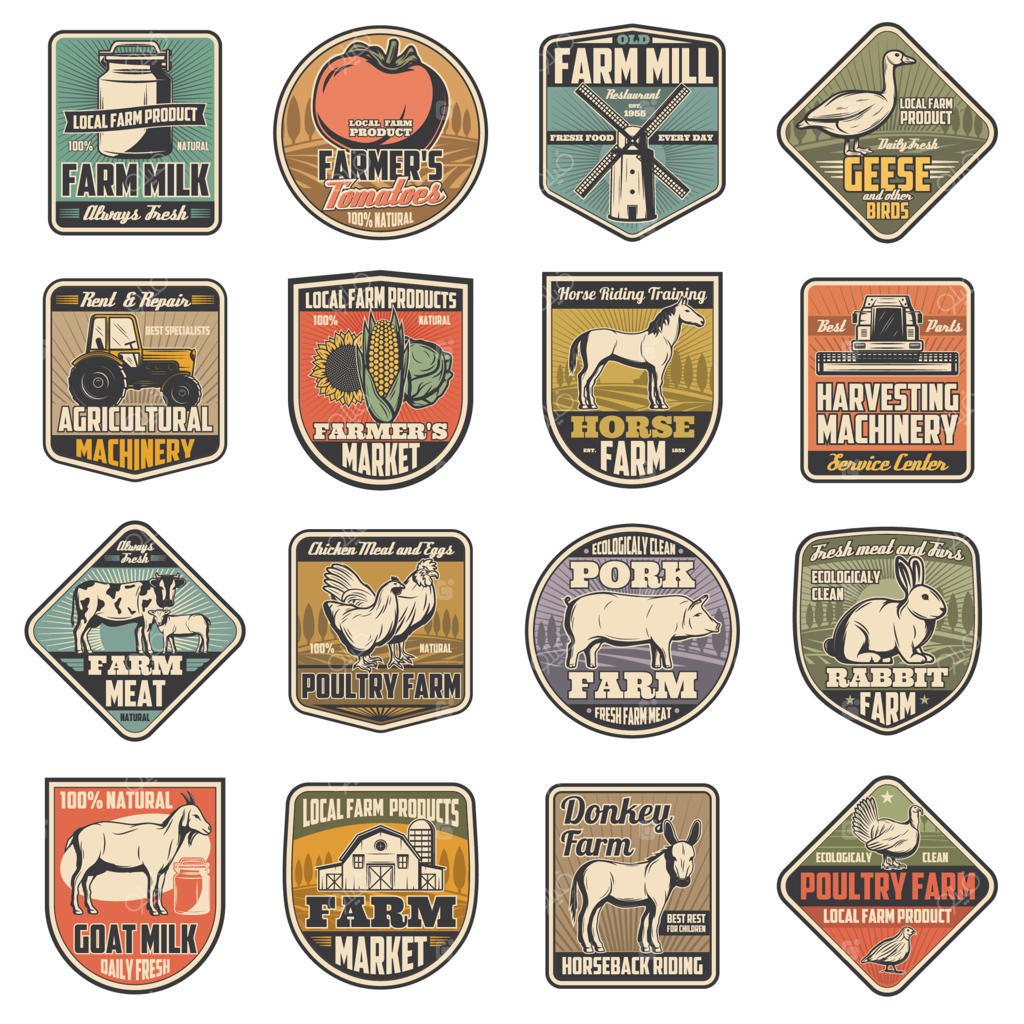 کشاورزی، لبنیات و دامداری