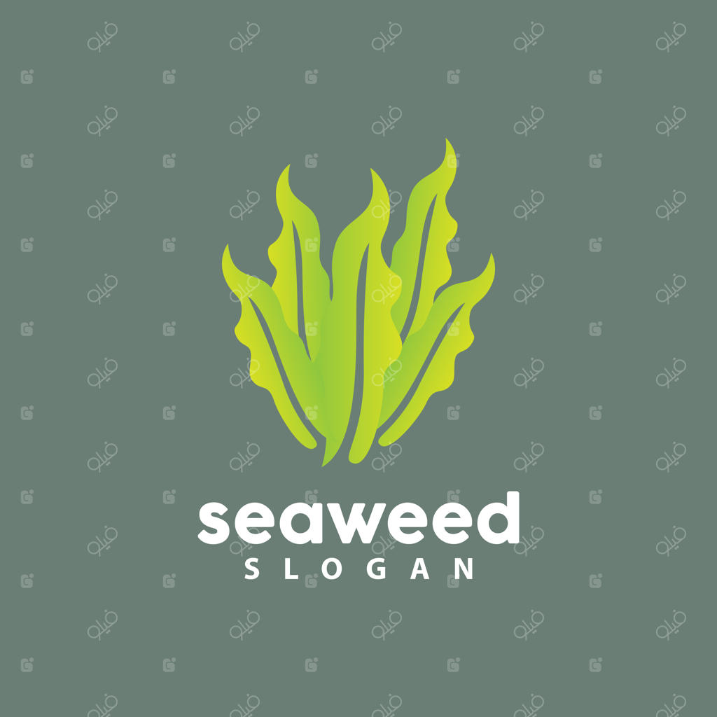 وکتور لوگوی جلبک و گیاه دریایی، طرح ساده برگ، قالب تصویرسازی، نماد و آیکون