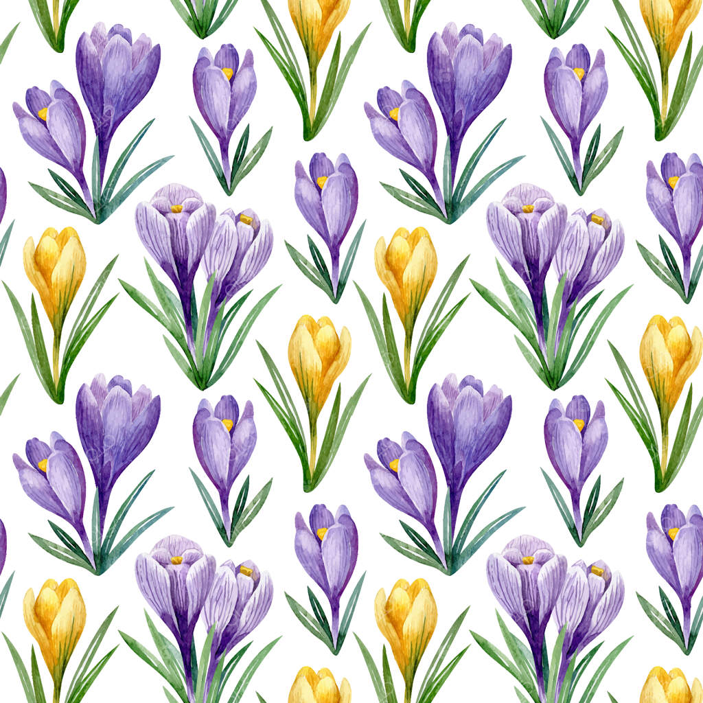 پترن بدون درز آبرنگی با کروکوس‌های بنفش و زرد - کلیپ‌آرت بهاری وکتور