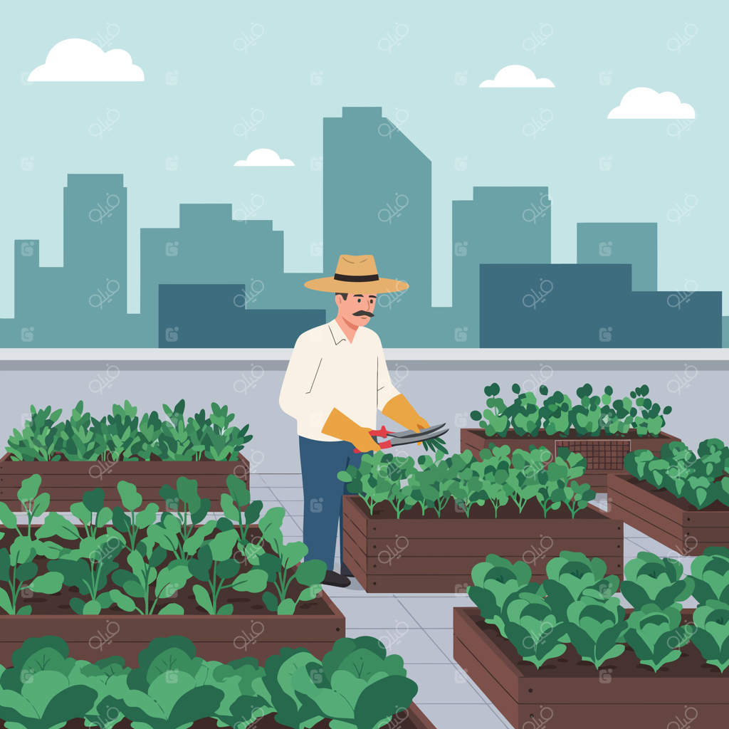 تصویر باغ بام شهری با مردی که در حال هرس گیاهان در بسترهای برجسته در برابر افق شهری است