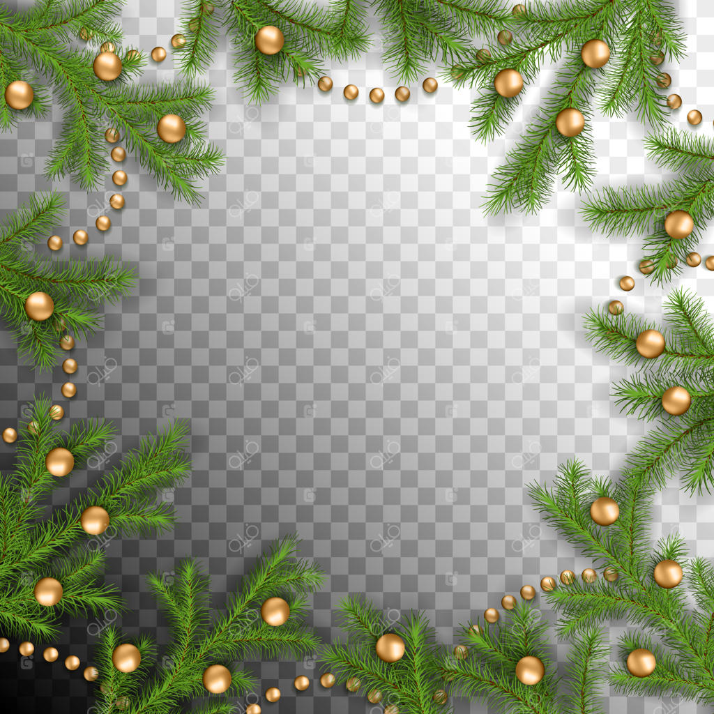 شاخه‌های درخت کاج با تزیینات