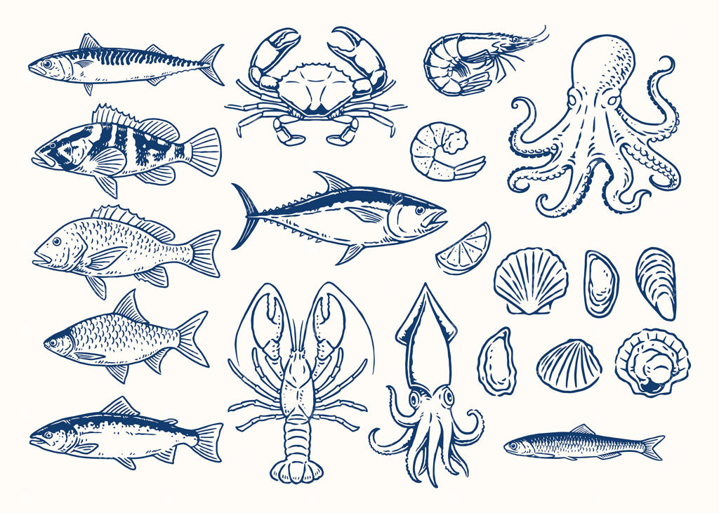 تصویرسازی جانوران و غذاهای دریایی