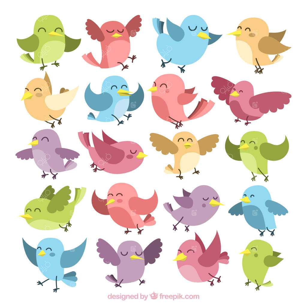 مجموعه‌ای از پرندگان رنگارنگ