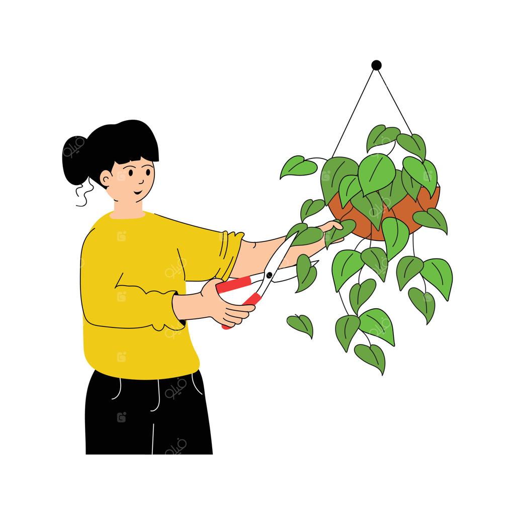 باغبان با هرس کردن گیاهان، رشد آن‌ها را تقویت می‌کند