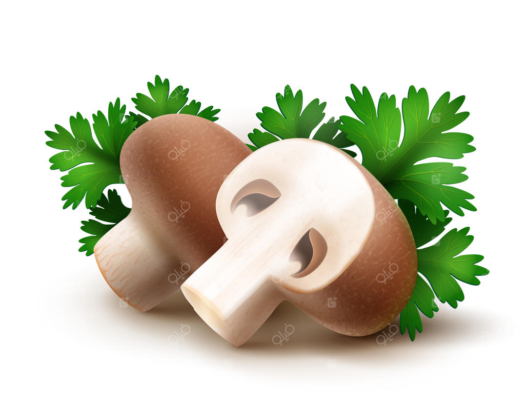 کوهی از قارچ پورتوبلو تازه و نصف‌شده