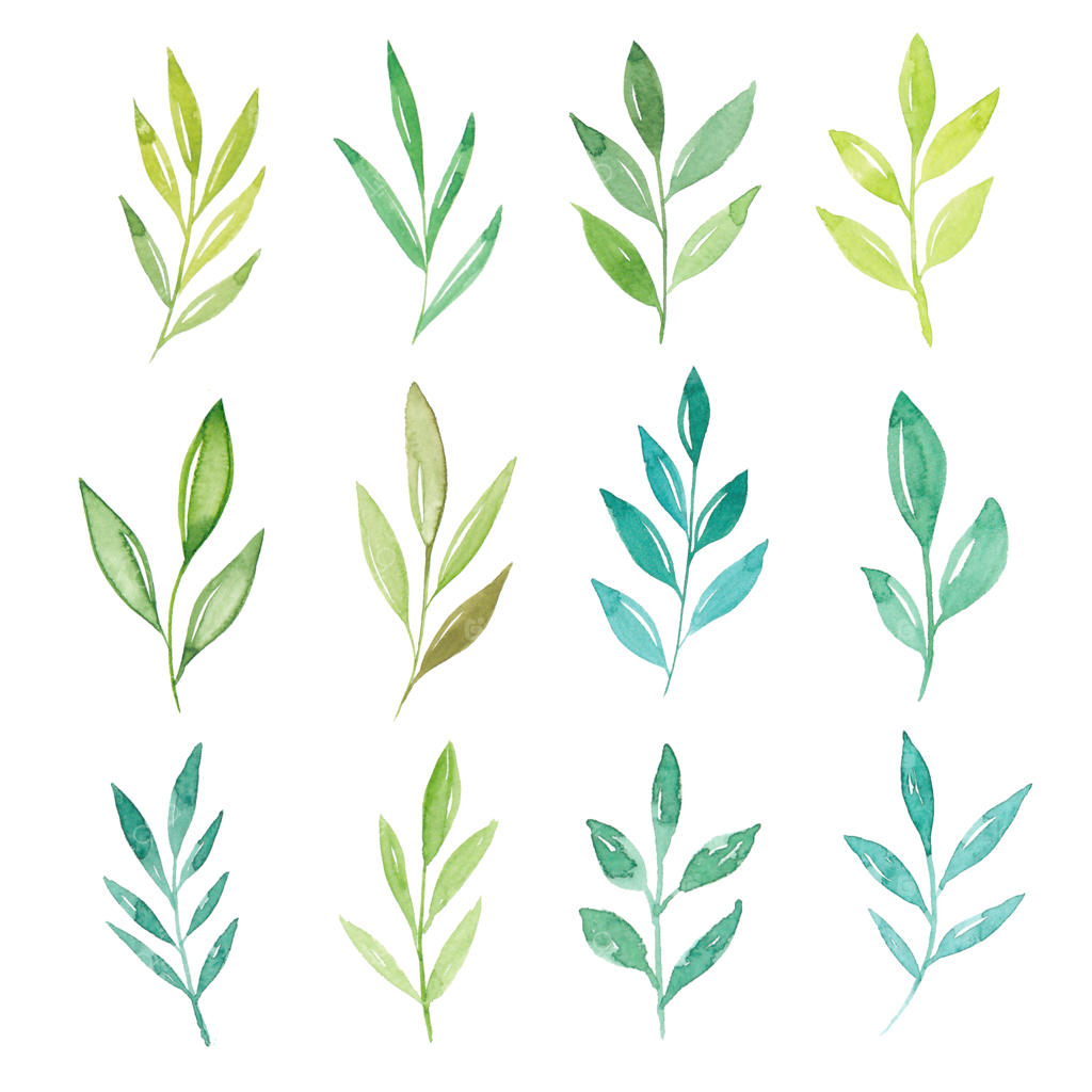 مجموعه‌ای از برگ‌های آبرنگی مجزا