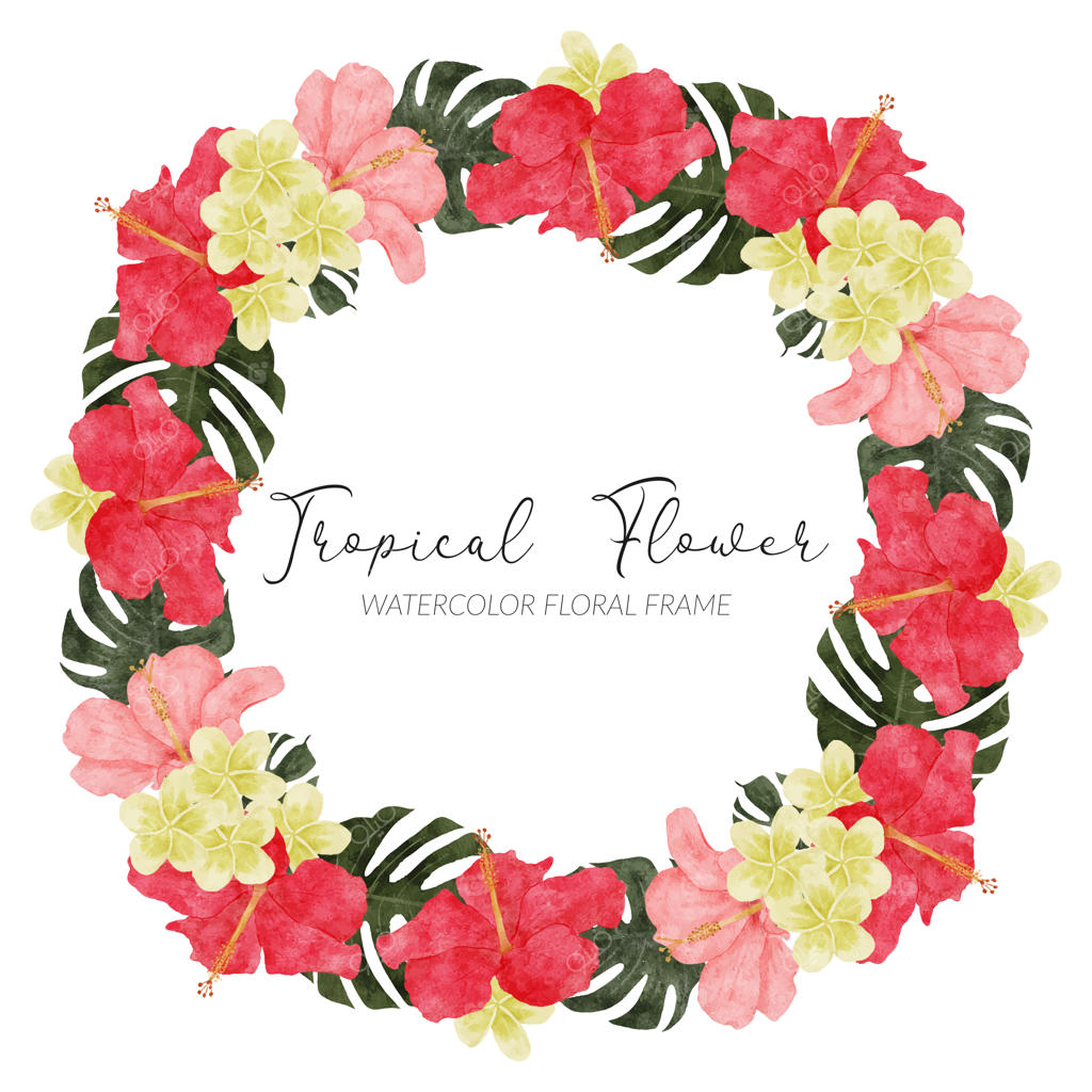 آرایش گل‌های استوایی با آبرنگ: مونسترا، هیبیسکوس و نخل