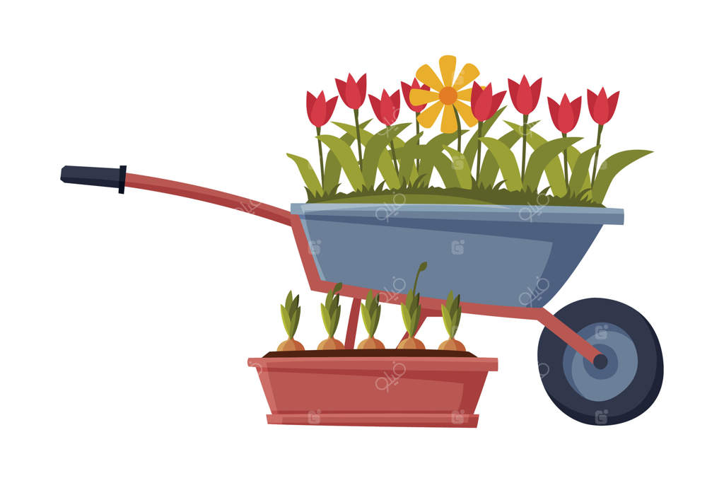 تصویر گرافیکی فرغون باغ همراه با گل‌های لاله روی زمینه سفید