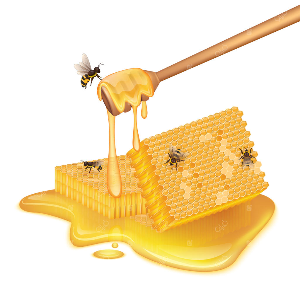 لانه‌های زنبور به شکل مربع، حوضچه‌ای از عسل و زنبورهای در حال پرواز و نشسته.