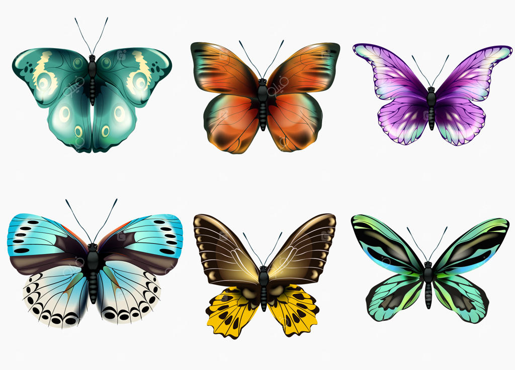 مجموعه‌ای از پروانه‌های رنگارنگ: تصویرسازی