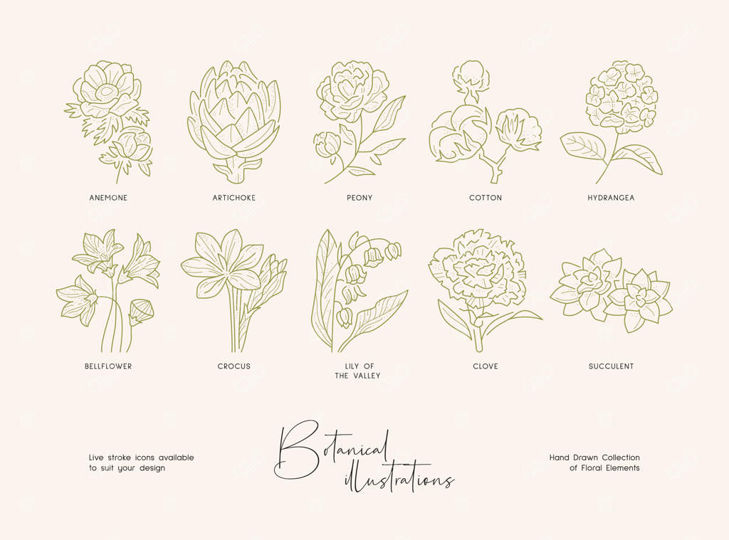 مجموعه‌ای از نقاشی‌های دقیق گیاه‌شناسی از گل‌های وحشی در حال شکوفه‌، دست آوردهای هنری گیاهی