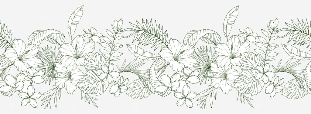 حاشیه گیاهان استوایی یکپارچه با گل‌ها و گیاهان استوایی. پس‌زمینه افقی گلدار یکپارچه. طراحی خطی گل‌ها. طرح مینیمالیستی گل. حاشیه گل یکپارچه. قاب حاشیه‌ای.