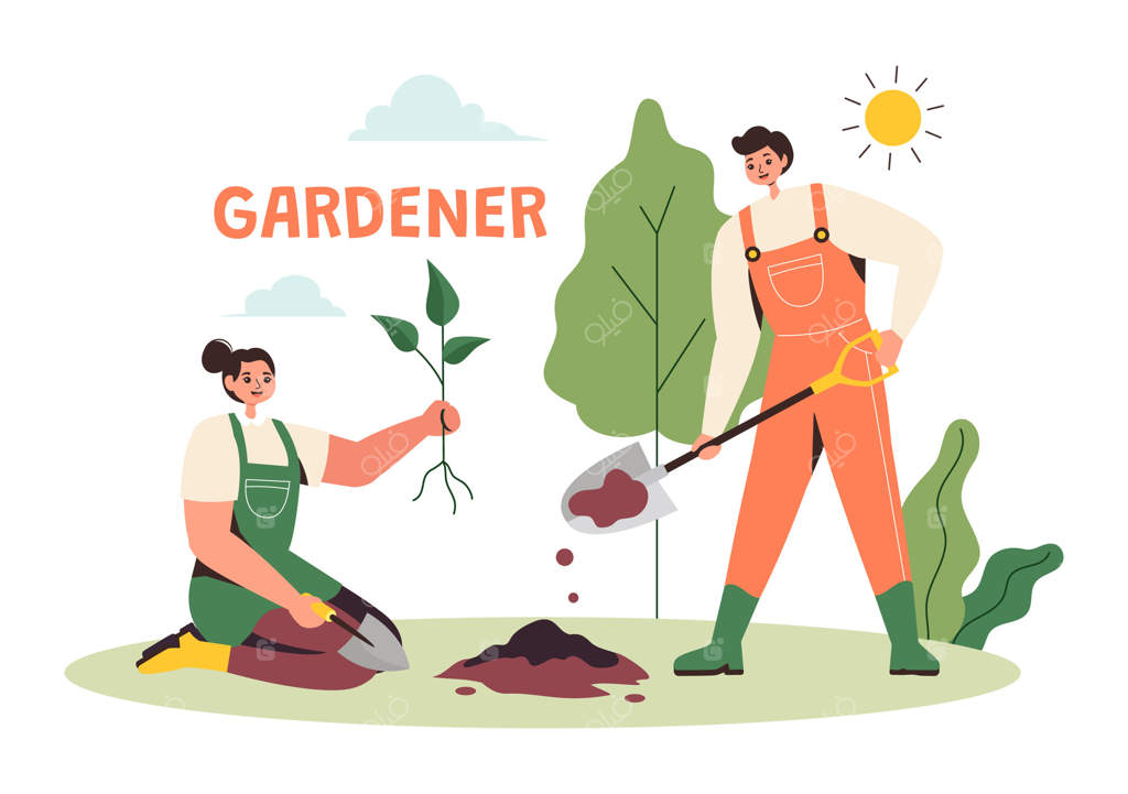 تصویر باغبان با ابزار باغبانی، کشاورزی و کاشت سبزیجات در پس‌زمینه کارتونی با سبک تخت تابستانی گیاه‌شناسی