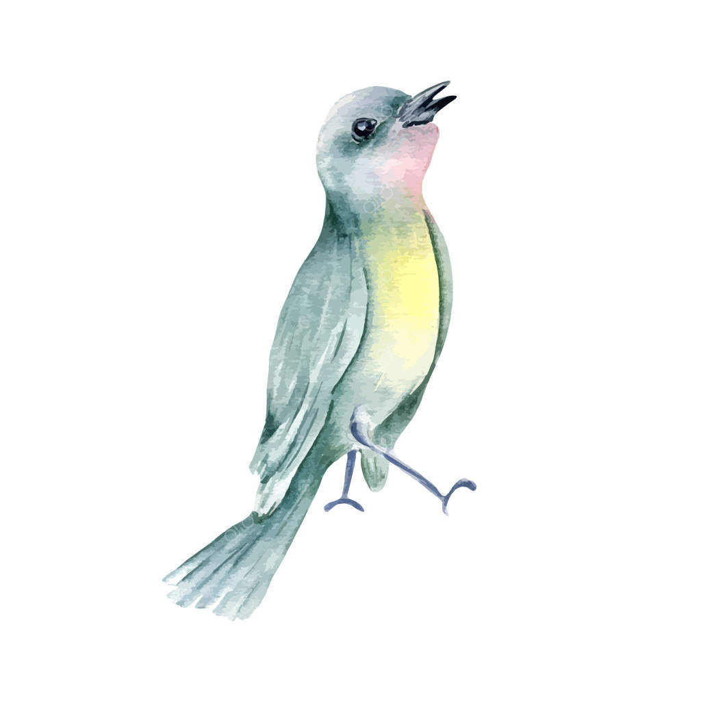 پرنده کوچک آوازخوان رنگارنگ با رنگ‌های پاستلی، نقاشی آبرنگی. پرنده باغی با پرهای سبز و سینه زرد و صورتی در طرحی گیاهی. نقاشی تانگر آوازخوان با منقار باز.