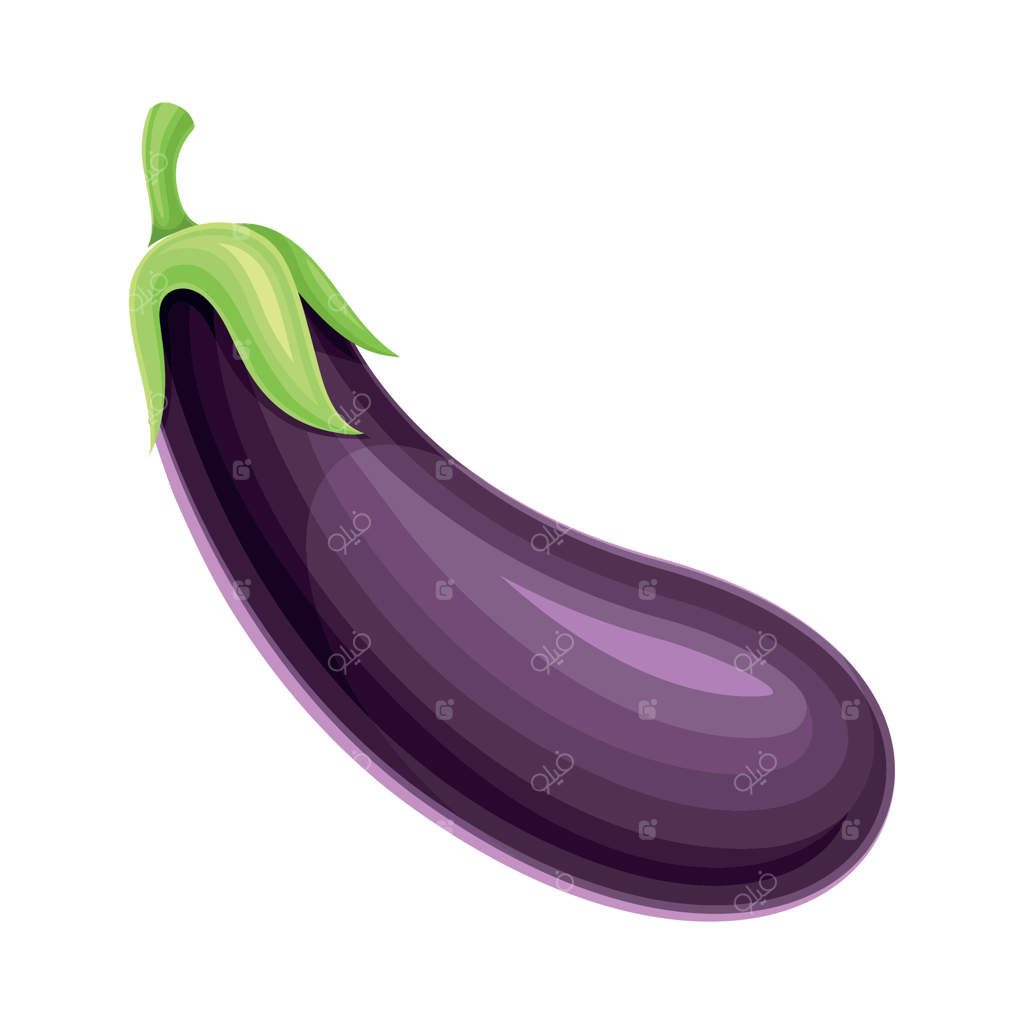تصویر نزدیک از بادمجان بنفش رسیده به عنوان غذایی خام و سالم و کشت باغی