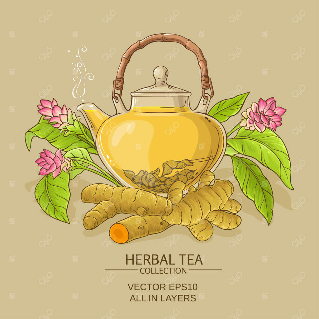 تصویرسازی دمنوش زردچوبه