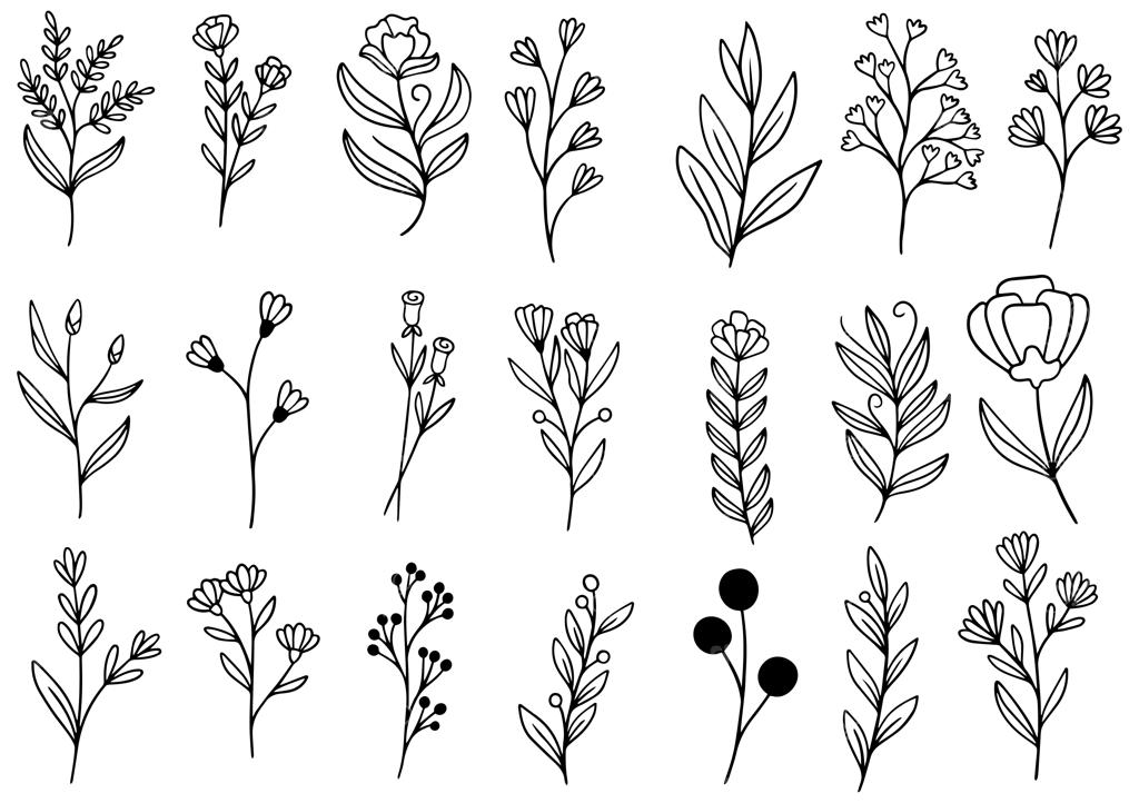 طراحی دستی و دودل گل‌ها