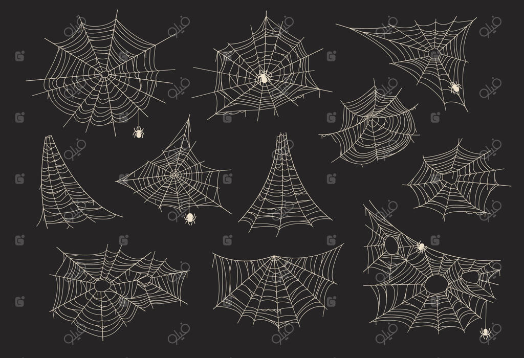 تار عنکبوت قدیمی در پس‌زمینه سیاه ویژه هالووین - طرح تله ترسناک و هنرمندانه بافته شده در گوشه‌ها