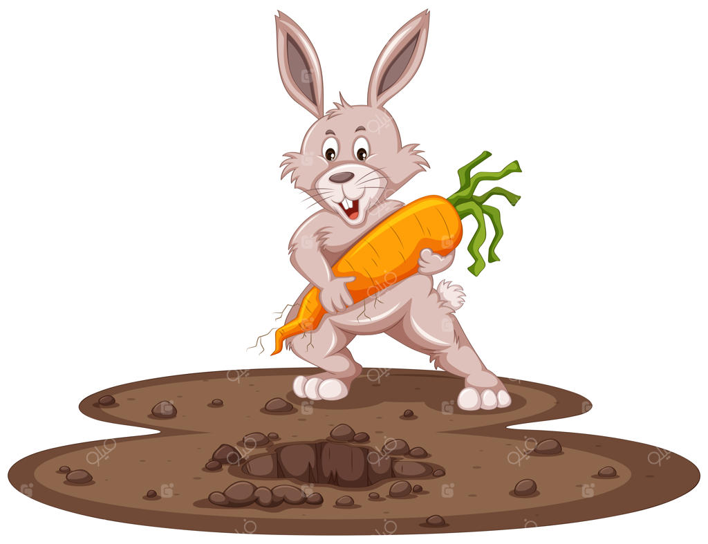 خرگوش بامزه و هویج تازه در باغچه