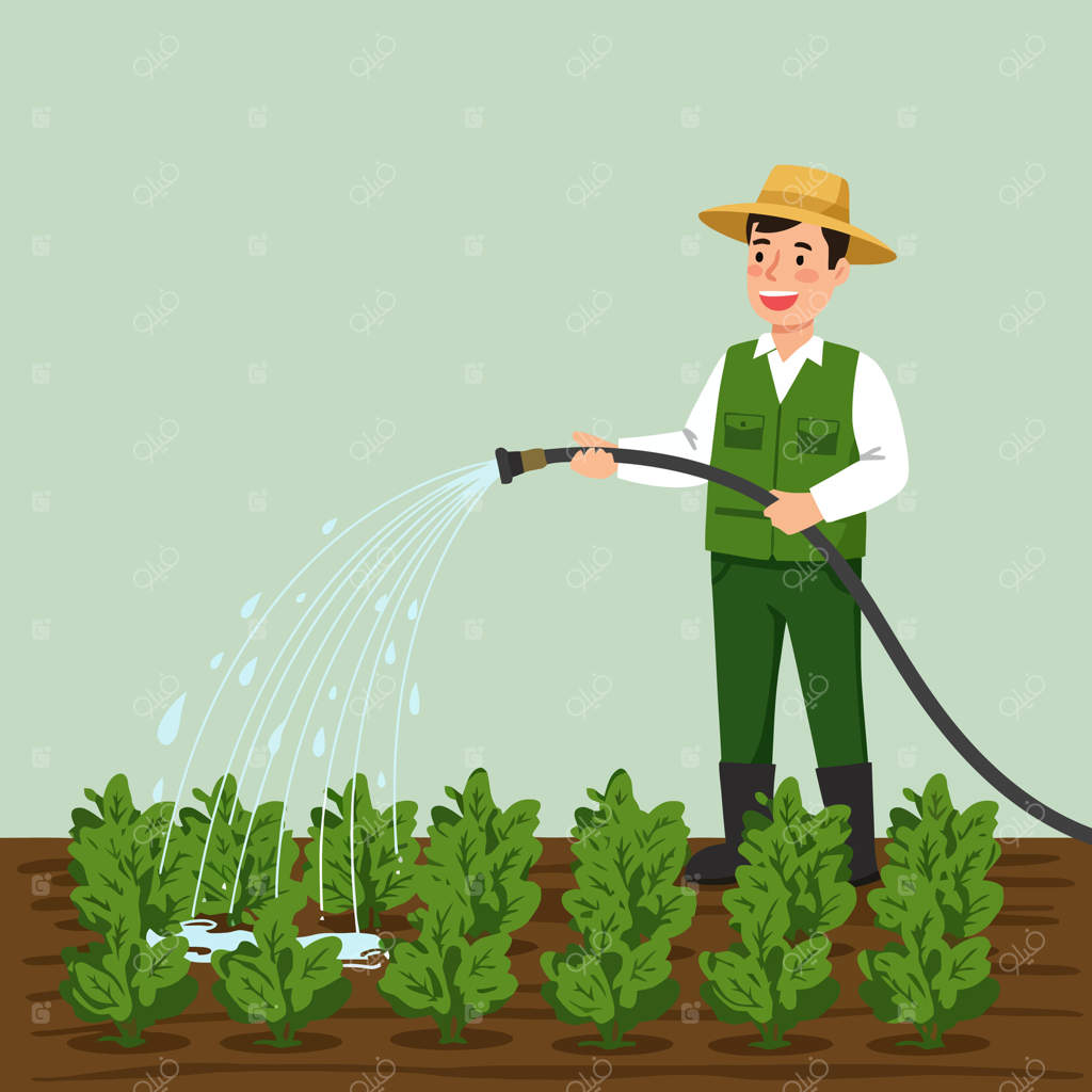 تصویر کشاورزی که با شلنگ به گیاهان آب می‌دهد در باغ