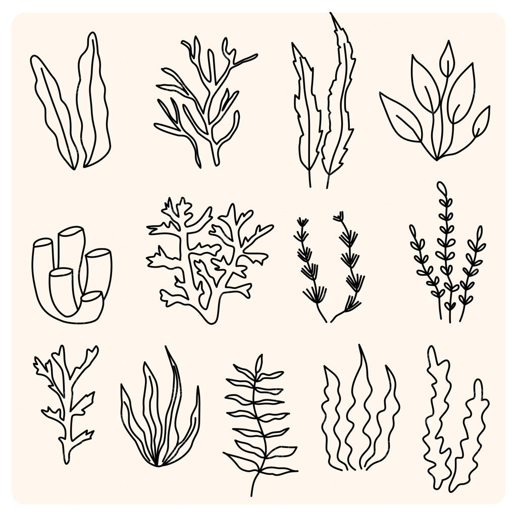 مجموعه وکتور طرح دستی گیاهی شامل شاخ و برگ و گل رز