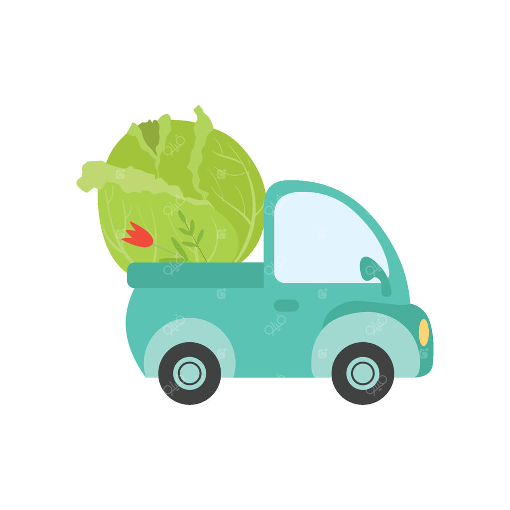 کامیون بامزه با کلم غول‌پیکر، نمای جانبی، تحویل غذا و حمل سبزیجات تازه از باغ - تصویر سازی