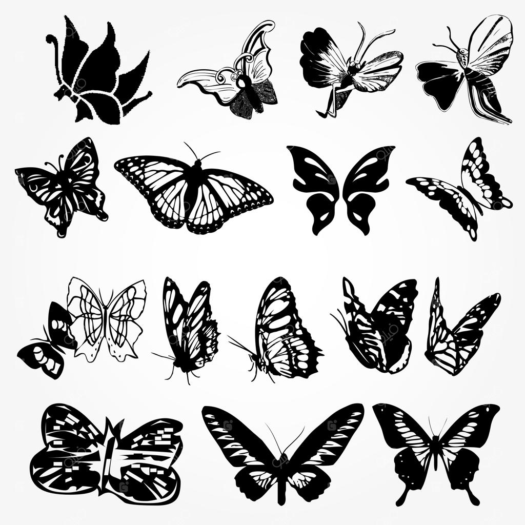 مجموعه آیکون پروانه