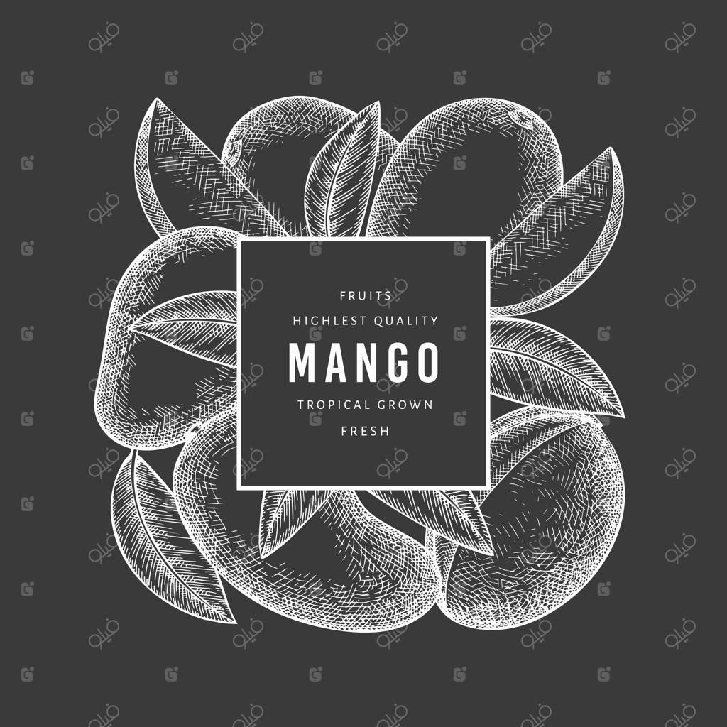 برچسب انبه با طراحی دستی و سبک اسکیس