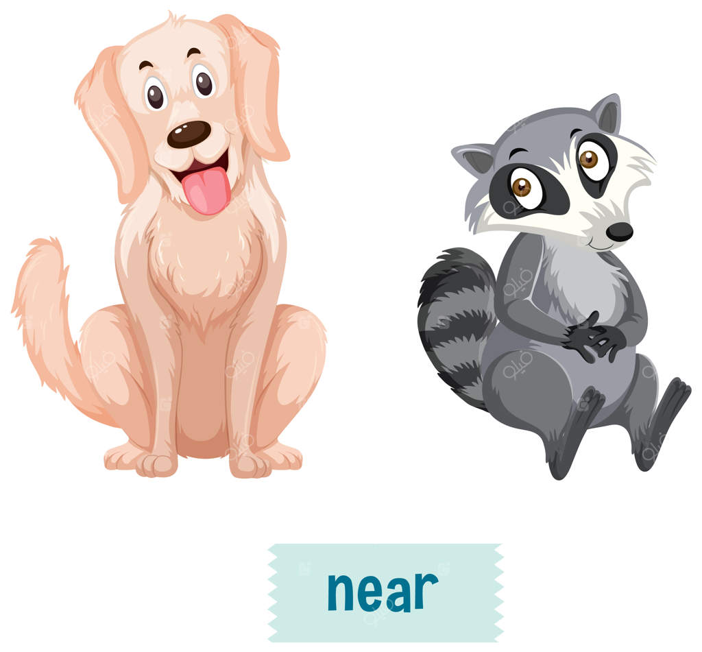 حروف اضافه انگلیسی با سگی که نزدیک راکون‌ها نشسته است