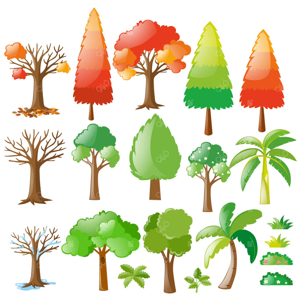 مجموعه‌ای از درختان رنگارنگ