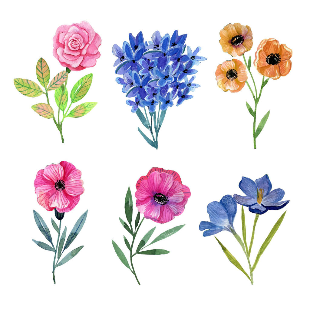 مجموعه‌ای از گل‌های آبرنگی دست‌ساز