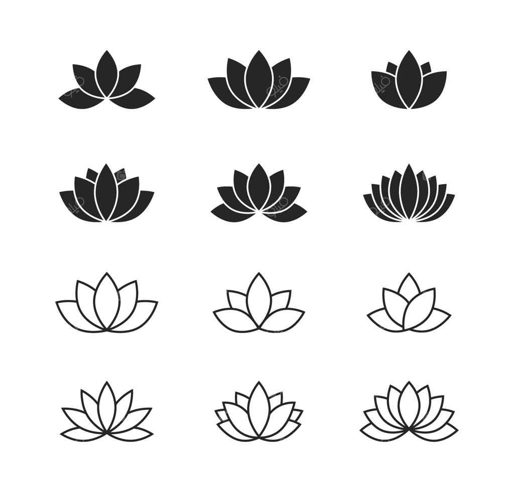 مجموعه آیکون‌های نیلوفر آبی در سبک خط و گل روی زمینه سفید. مجموعه تزئینی گل‌ها