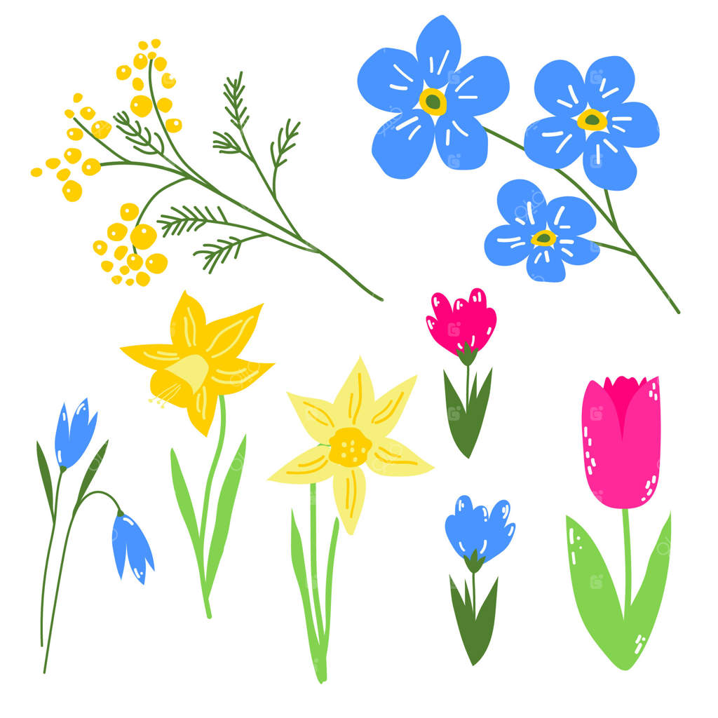 اولین شکوفه‌های بهاری در باغ: لاله‌ صورتی، زعفران، میموزای زرد، نرگس، قاصدک و گل‌فراموشم‌ مکن آبی. مجموعه‌ای از تصاویر گل‌های دست‌کشیده، مناسب برای چاپ، پوستر، کارت یا بنر.