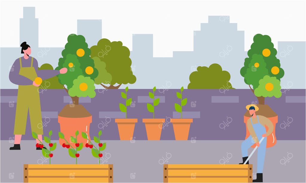 تصویر همکاری مردم، باغبان و کشاورز در طراحی بام سبز