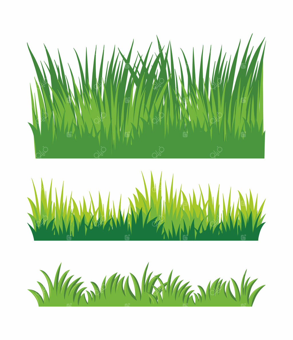 تصویرسازی چمن سبز در اشکال و اندازه‌های مختلف