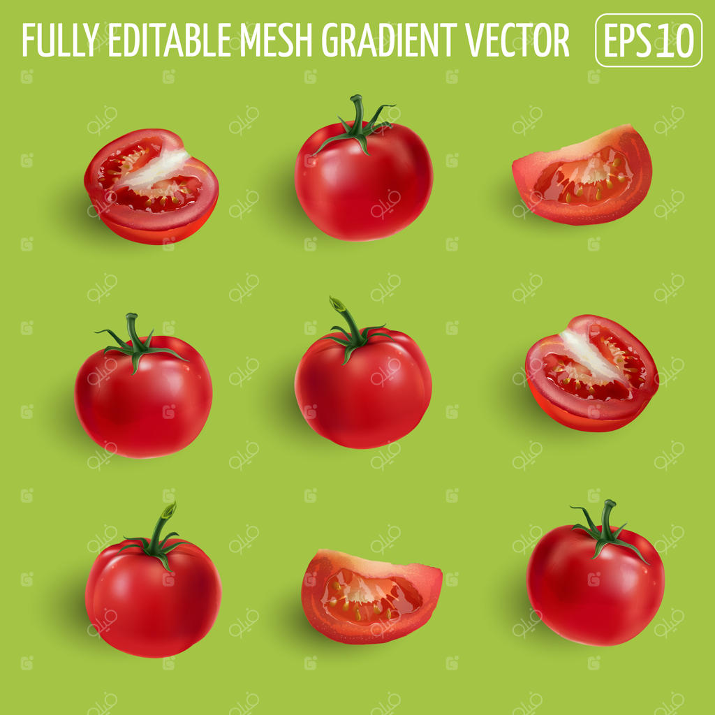 مجموعه‌ای از گوجه‌فرنگی‌های قرمز رسیده - کامل، نصفه و برش خورده. تصویر واقع‌گرایانه.