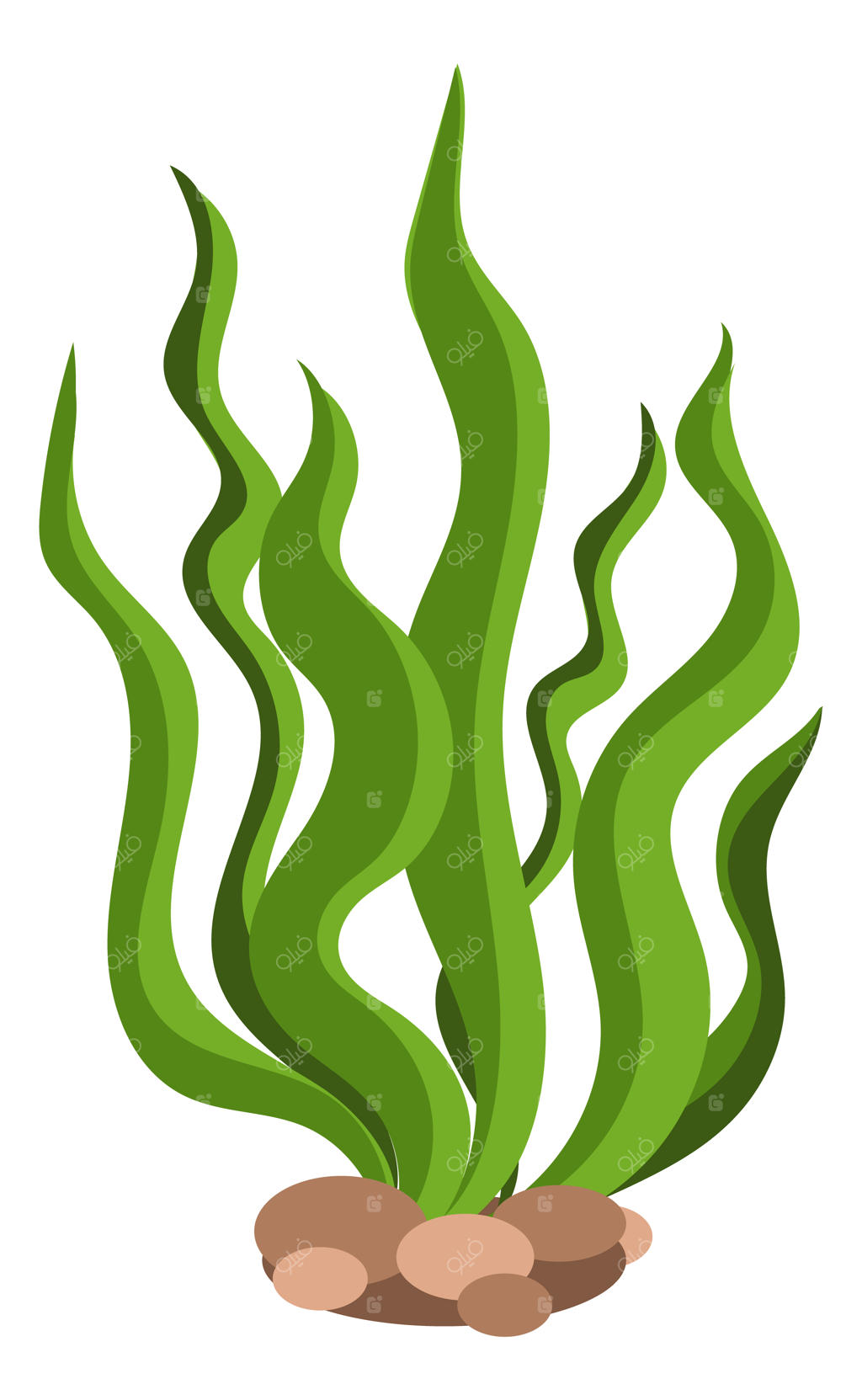 آیکون کارتونی جلبک سبز دریایی