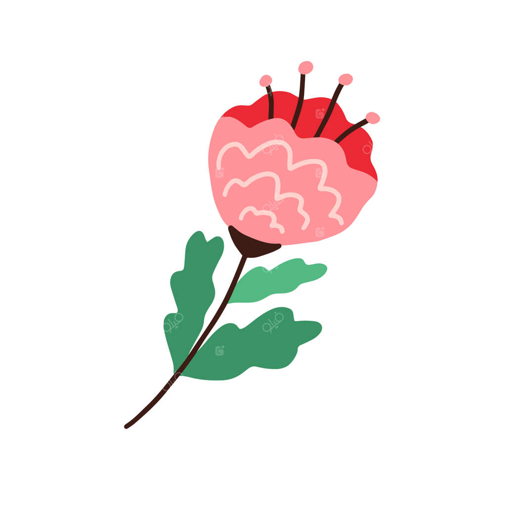 گل انتزاعی با ساقه و برگ. گیاه شکوفا شده با گلبرگ‌های پُرپشت. طراحی مدرن گیاه‌شناسی از گل وحشی شکوفا به سبک طرح‌واره. تصویر برداری تخت جدا شده بر روی زمینه سفید.