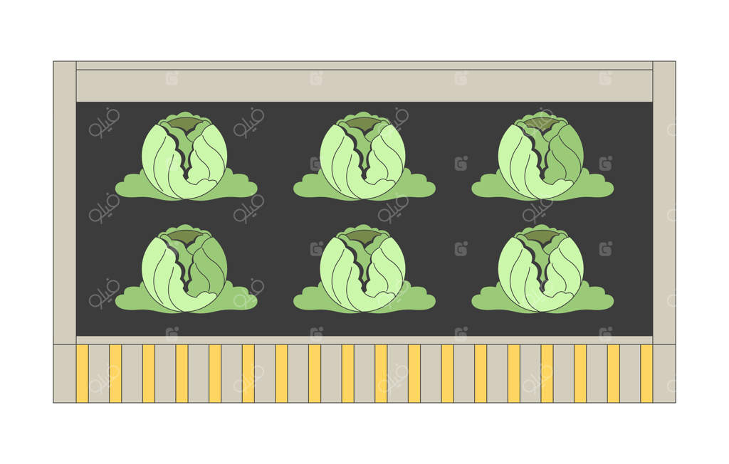 باغچه مرتفع با کلم‌های تازه در حال رشد در خاک غنی - تصویر کارتونی. کشاورزی ارگانیک. باغبانی پایدار. غذای خانگی - عنصر ایزوله‌شده هنر کلیپ تخت روی زمینه سفید. تصویر نقطه‌ای