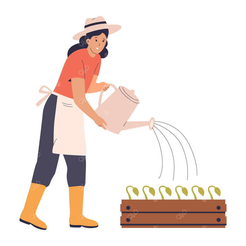 تصویری از باغبانی که به گیاهان آب می‌دهد