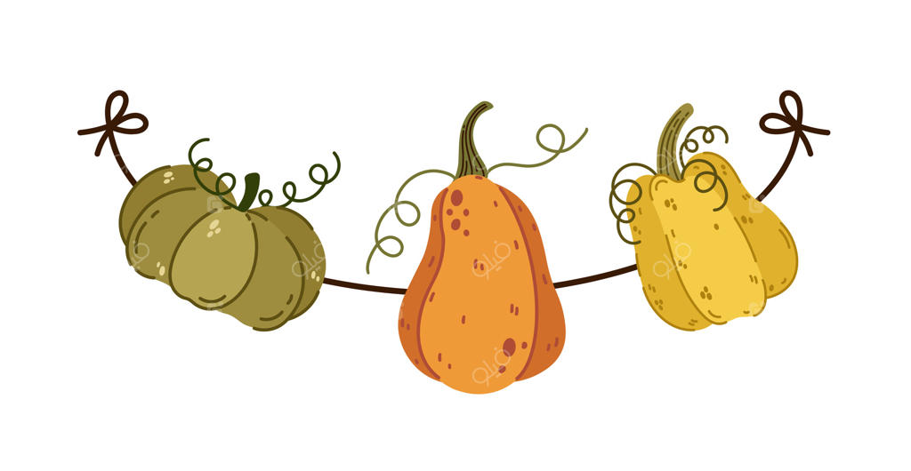 نماد حلقه پاییزی با کدو تنبل‌های رسیده و آبدار. کدوهای رنگارنگ باغی به نخ آویخته شده‌اند. تزئین سبزیجات فصلی برای هالووین و جشن شکرگزاری. تصویر کارتونی دست‌کشیده و دنج