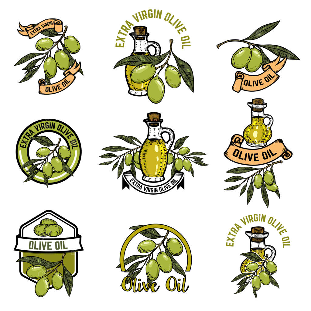 مجموعه‌ای از نشان‌های روغن زیتون: شاخه زیتون. عناصر برای لوگو، برچسب، نشان، علامت. تصویرسازی