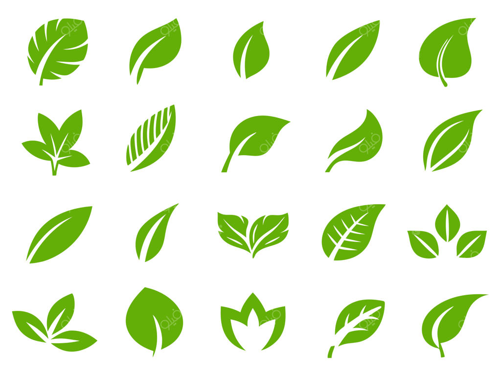 مجموعه آیکون‌های برگ سبز با طراحی وکتور مینیمال و الهام‌گرفته از طبیعت