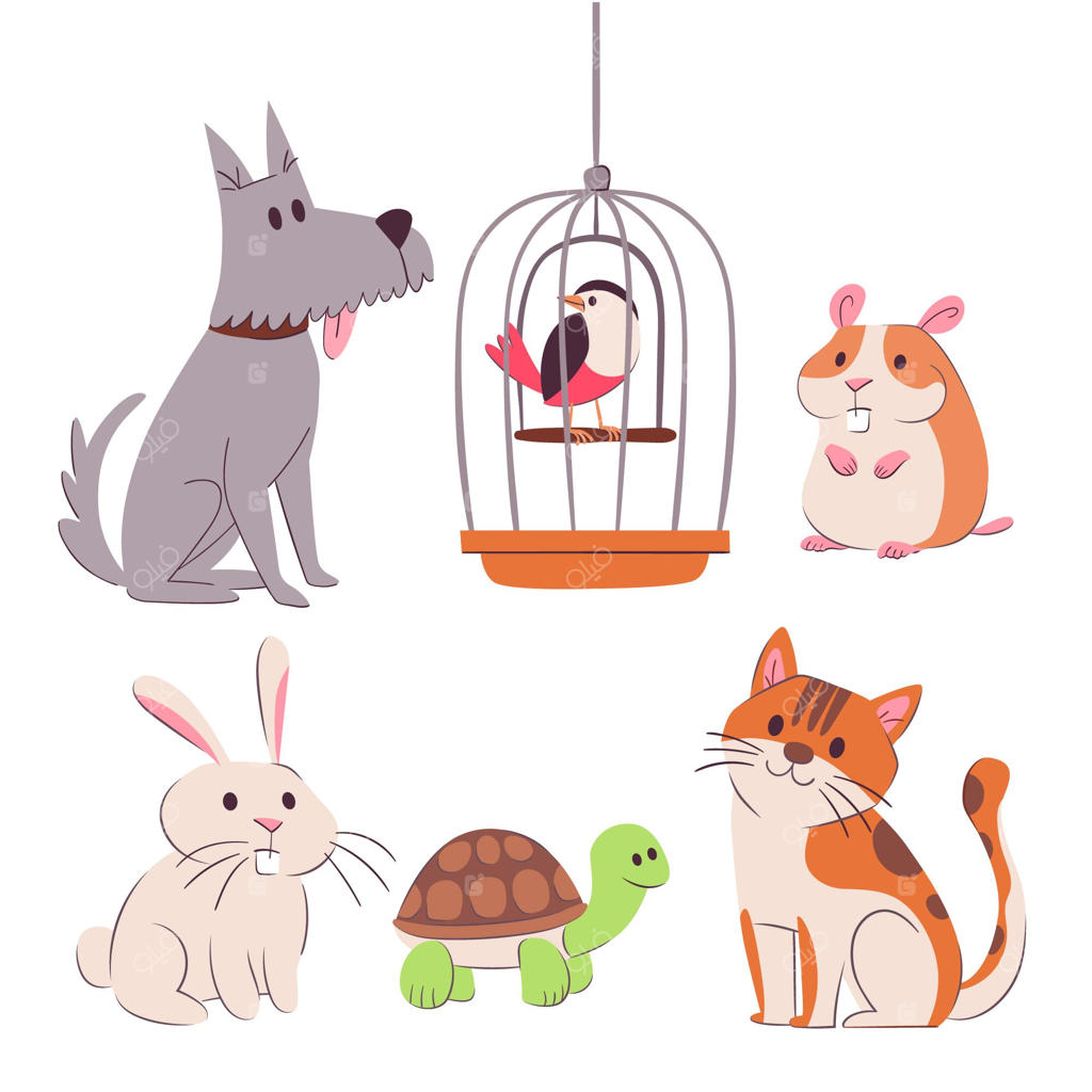 مفهوم حیوانات خانگی مختلف