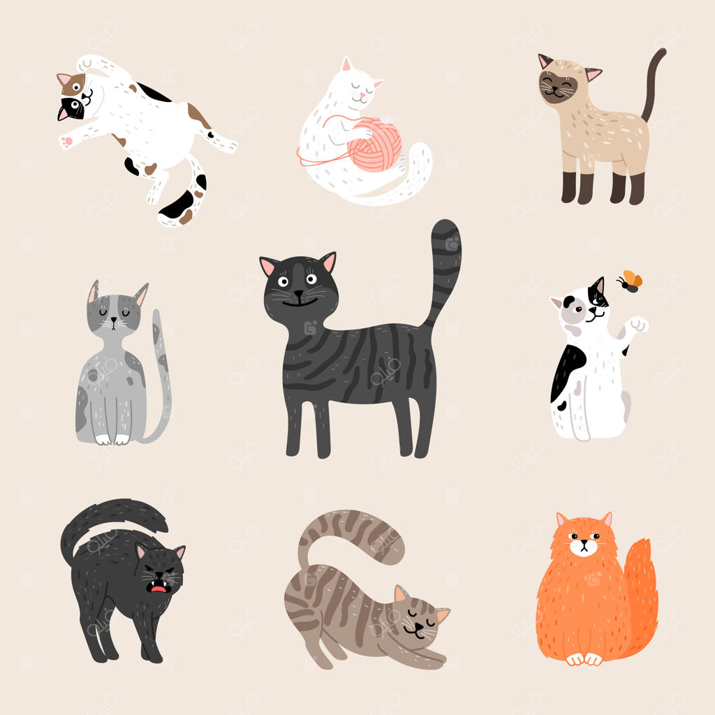 گربه‌های پشمالو و بامزه